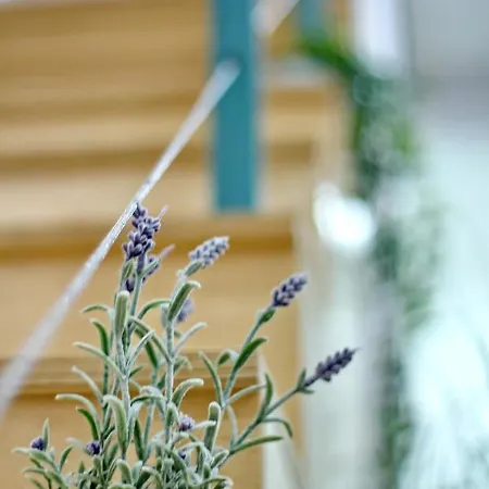 Apartament Lovely&modern Downtown With Free Parking *