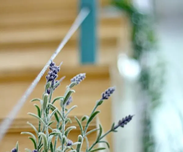 Appartement Lovely&modern Downtown With Free Parking *